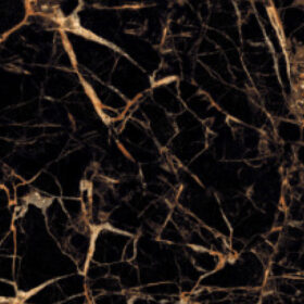 GOLDEN BLACK1